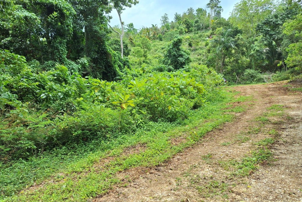 Sixth image of 17- Sligoville Main Road in Sligoville, St. Catherine, Jamaica - property is For Sale