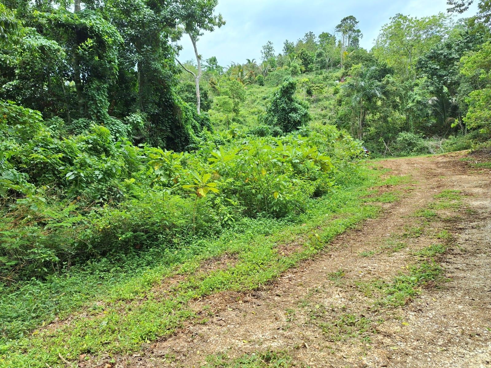 Sixth image of 17- Sligoville Main Road in Sligoville, St. Catherine, Jamaica - property is For Sale