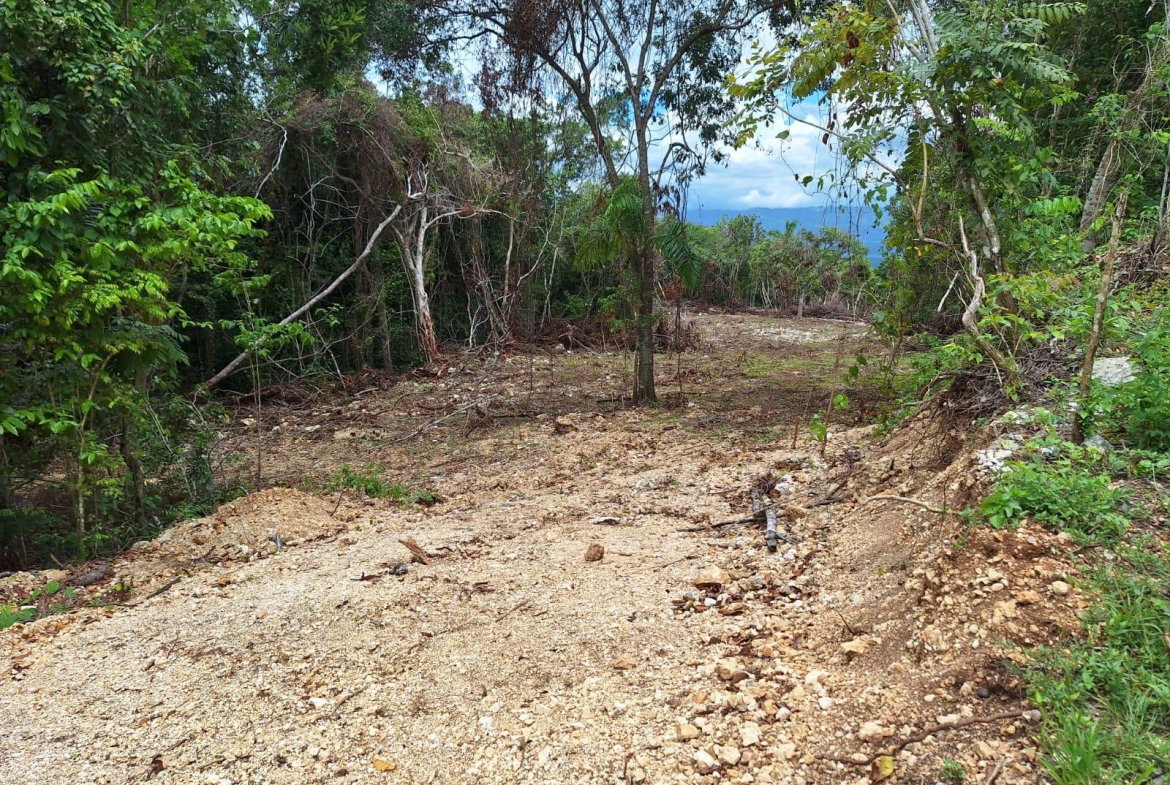 Eighth image of 17- Sligoville Main Road in Sligoville, St. Catherine, Jamaica - property is For Sale