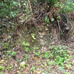 First image of 36- Sligoville Main Road in Sligoville, St. Catherine, Jamaica - property is For Sale