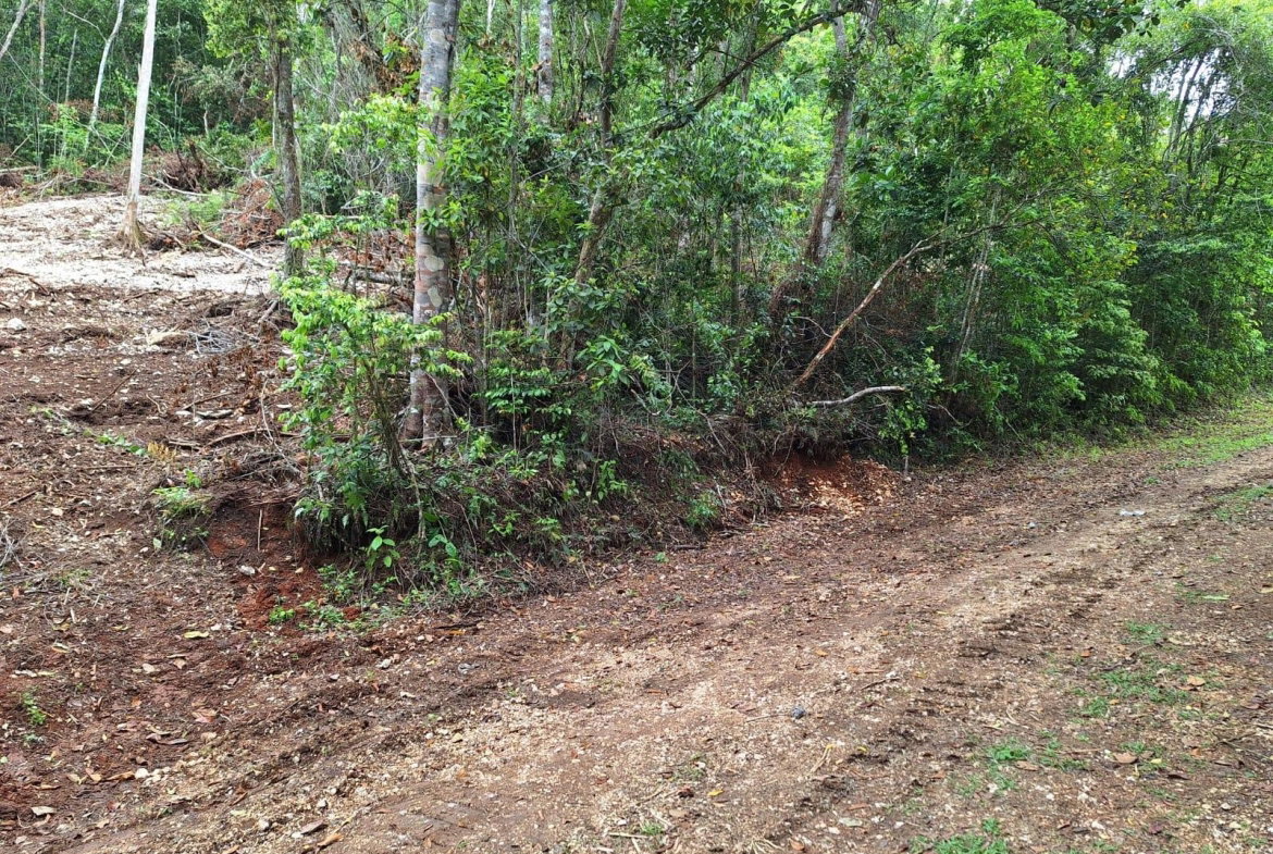 Third image of 36- Sligoville Main Road in Sligoville, St. Catherine, Jamaica - property is For Sale