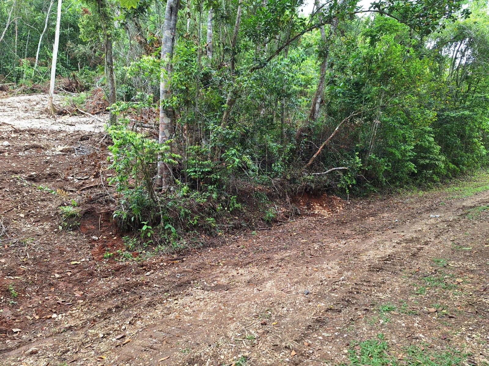 8.5-Acre-Residential-Lot-for-Sale-in-Sligoville-St.-Catherine-Jamaica Third image of 36- Sligoville Main Road in Sligoville, St. Catherine, Jamaica - property is For Sale