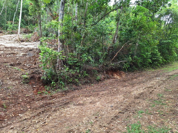 Third image of 36- Sligoville Main Road in Sligoville, St. Catherine, Jamaica - property is For Sale