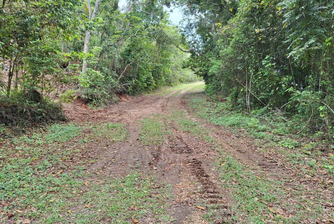 Fourth image of 36- Sligoville Main Road in Sligoville, St. Catherine, Jamaica - property is For Sale