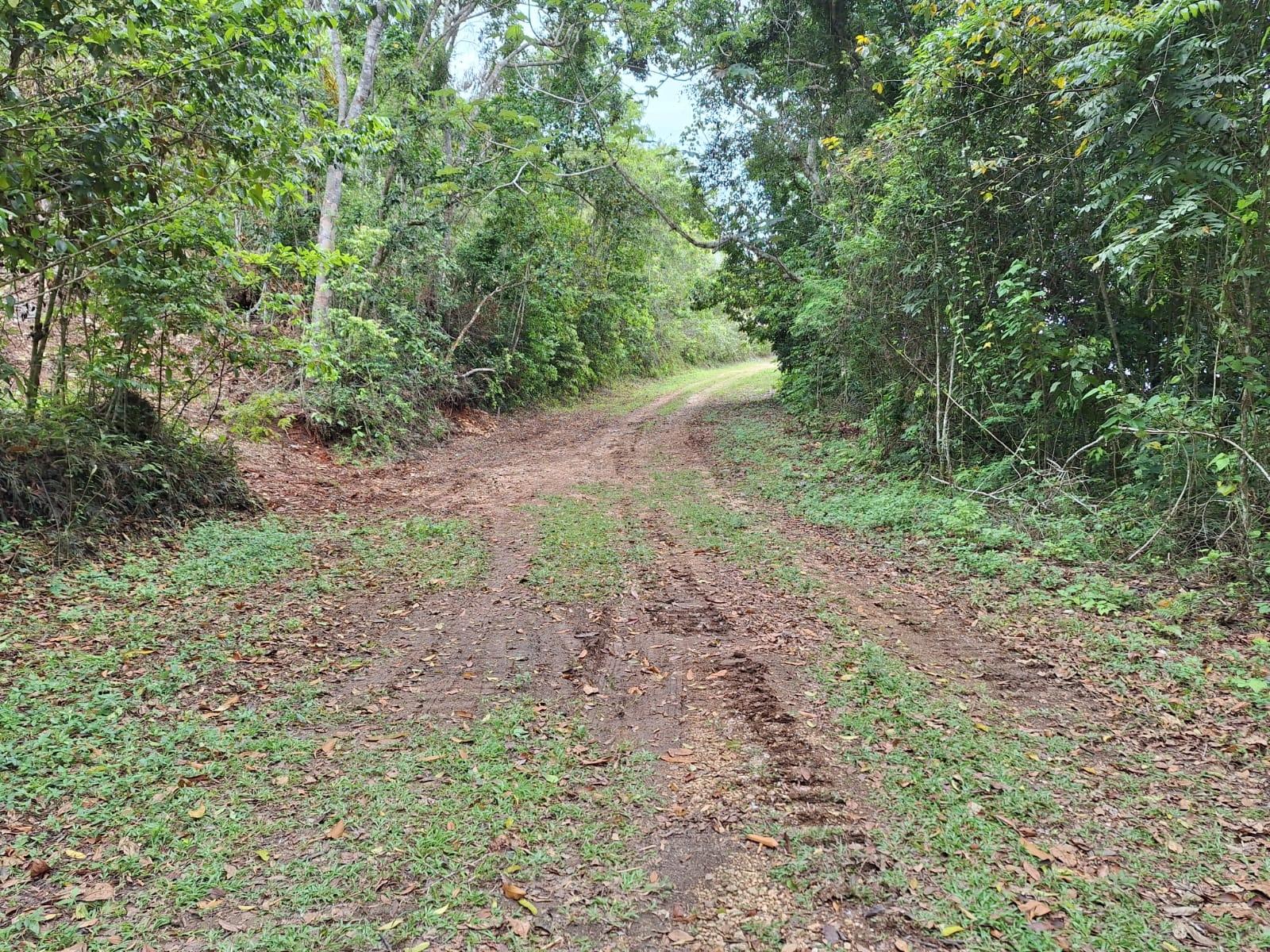 8.5-Acre-Residential-Lot-for-Sale-in-Sligoville-St.-Catherine-Jamaica Fourth image of 36- Sligoville Main Road in Sligoville, St. Catherine, Jamaica - property is For Sale