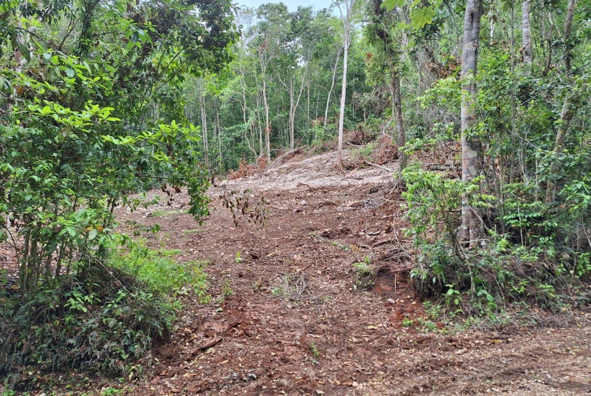 Fifth image of 36- Sligoville Main Road in Sligoville, St. Catherine, Jamaica - property is For Sale
