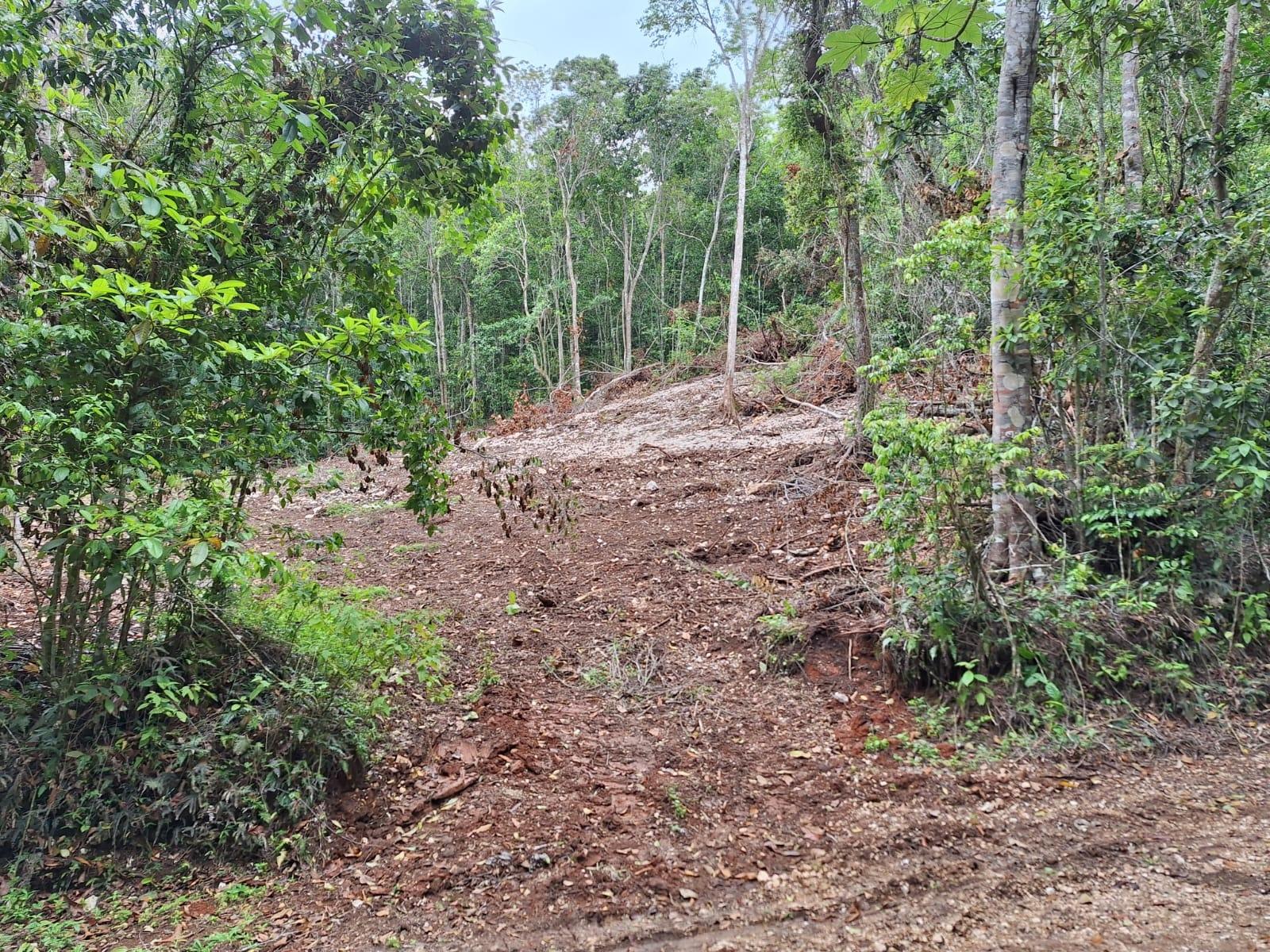 8.5-Acre-Residential-Lot-for-Sale-in-Sligoville-St.-Catherine-Jamaica Fifth image of 36- Sligoville Main Road in Sligoville, St. Catherine, Jamaica - property is For Sale