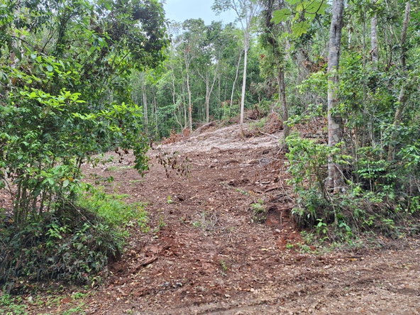 Fifth image of 36- Sligoville Main Road in Sligoville, St. Catherine, Jamaica - property is For Sale