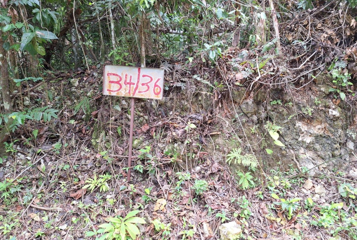 Sixth image of 36- Sligoville Main Road in Sligoville, St. Catherine, Jamaica - property is For Sale