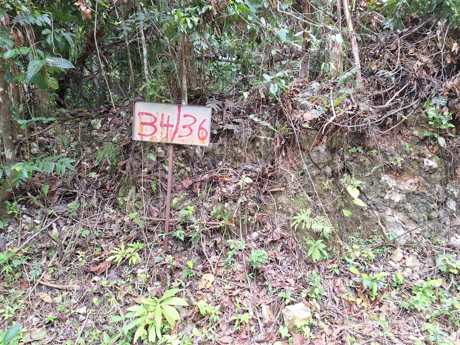 8.5-Acre-Residential-Lot-for-Sale-in-Sligoville-St.-Catherine-Jamaica Sixth image of 36- Sligoville Main Road in Sligoville, St. Catherine, Jamaica - property is For Sale