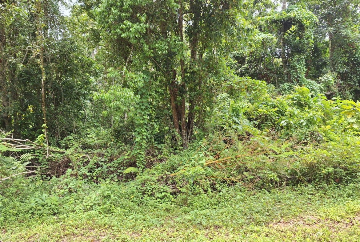 Second image of 17- Sligoville Main Road in Sligoville, St. Catherine, Jamaica - property is For Sale
