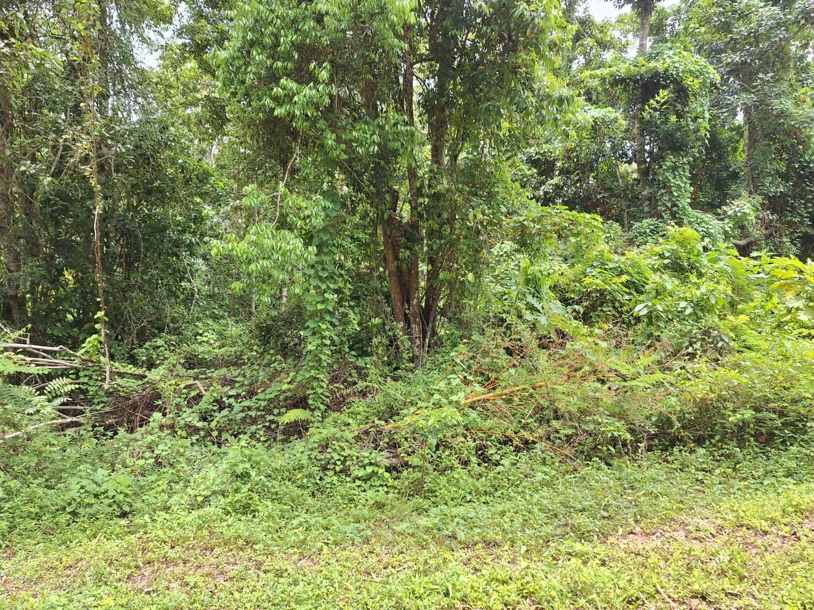 Second image of 17- Sligoville Main Road in Sligoville, St. Catherine, Jamaica - property is For Sale
