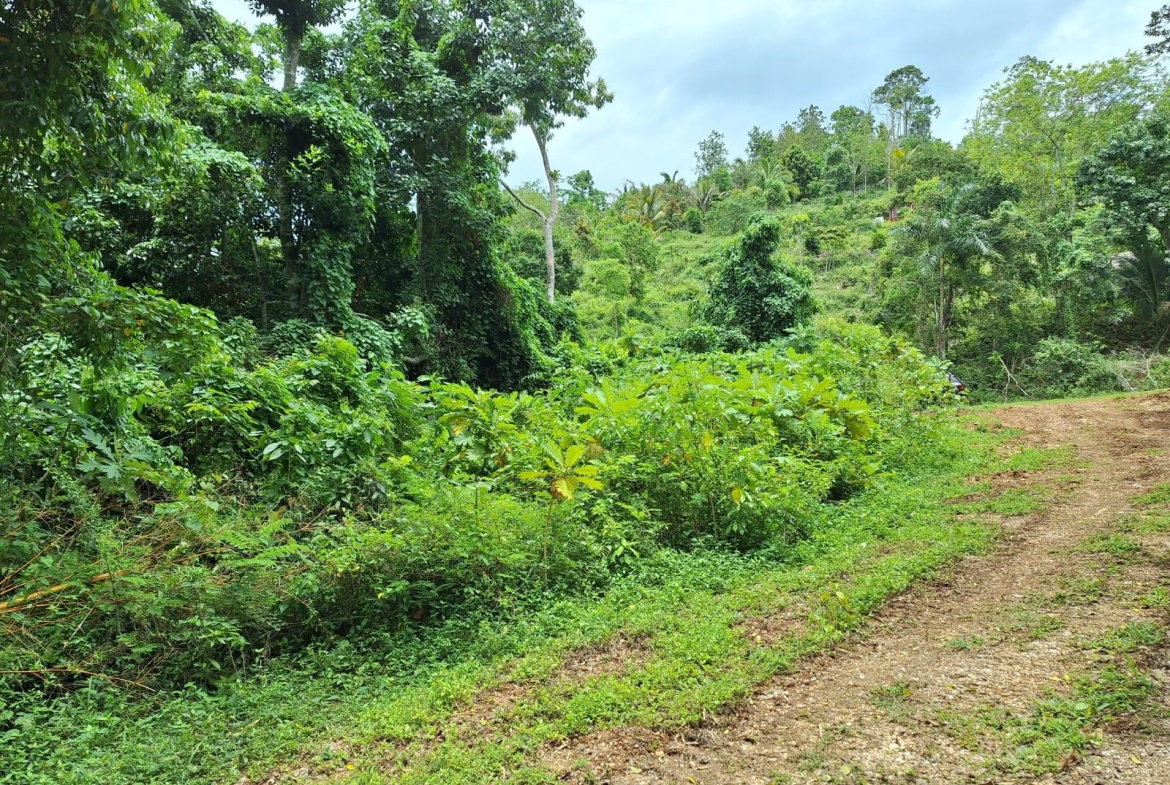 Third image of 17- Sligoville Main Road in Sligoville, St. Catherine, Jamaica - property is For Sale