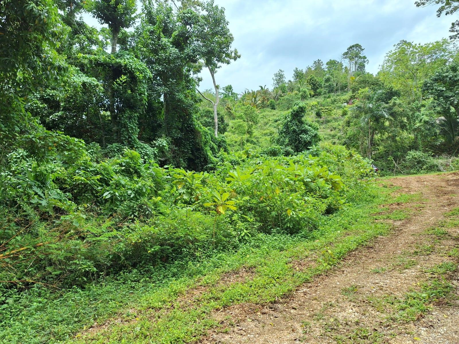 Third image of 17- Sligoville Main Road in Sligoville, St. Catherine, Jamaica - property is For Sale