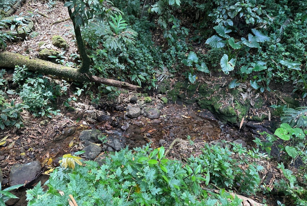 Second image of Boundbrook in Boundbrook, Portland, Jamaica - property is For Sale