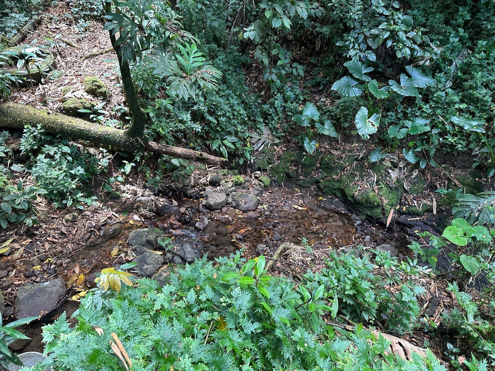 Second image of Boundbrook in Boundbrook, Portland, Jamaica - property is For Sale