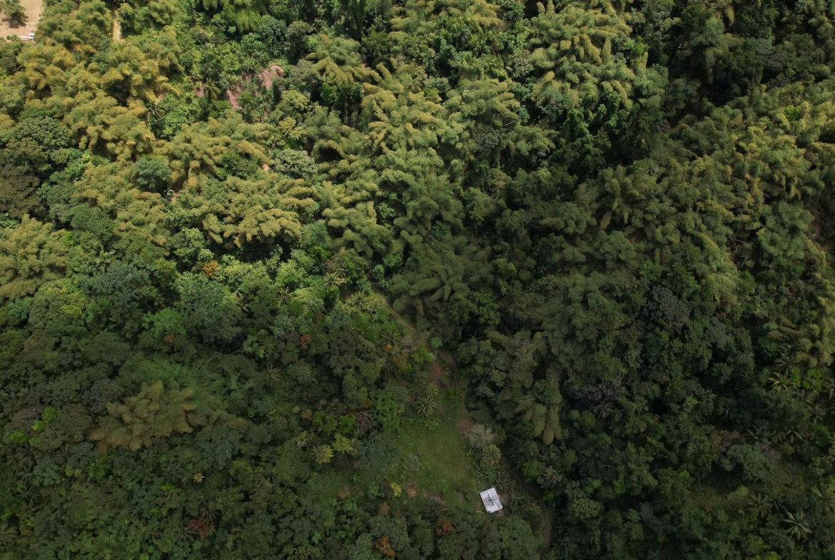 Eleventh image of Boundbrook in Boundbrook, Portland, Jamaica - property is For Sale