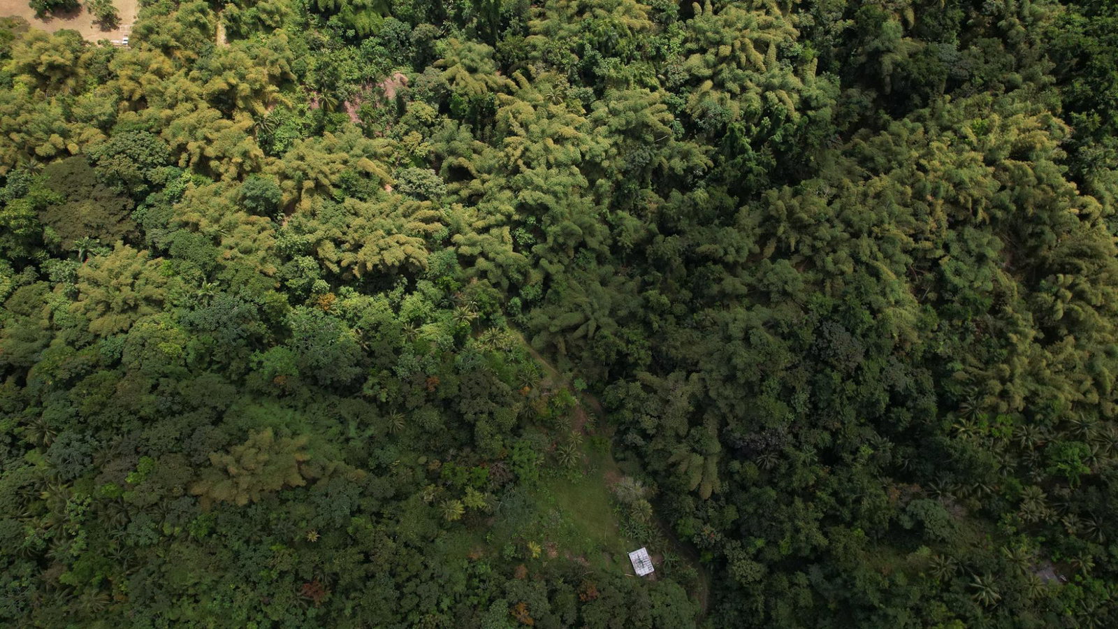 Eleventh image of Boundbrook in Boundbrook, Portland, Jamaica - property is For Sale