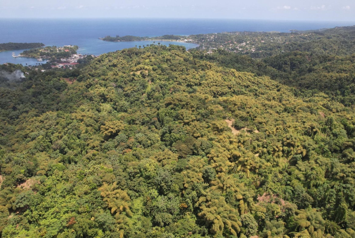 First image of Boundbrook in Boundbrook, Portland, Jamaica - property is For Sale