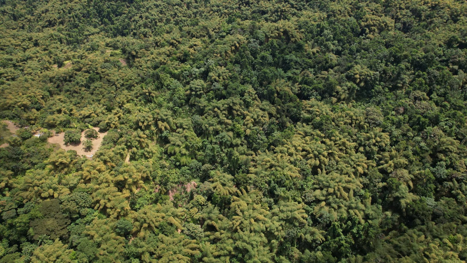 Thirteenth image of Boundbrook in Boundbrook, Portland, Jamaica - property is For Sale