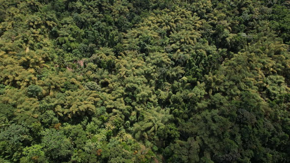 Fourteenth image of Boundbrook in Boundbrook, Portland, Jamaica - property is For Sale
