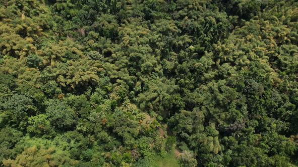 Fifteenth image of Boundbrook in Boundbrook, Portland, Jamaica - property is For Sale