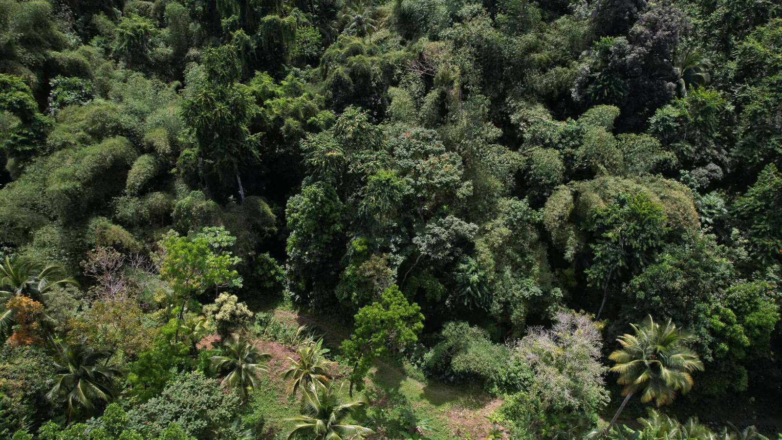 Sixteenth image of Boundbrook in Boundbrook, Portland, Jamaica - property is For Sale