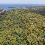 First image of Boundbrook in Boundbrook, Portland, Jamaica - property is For Sale