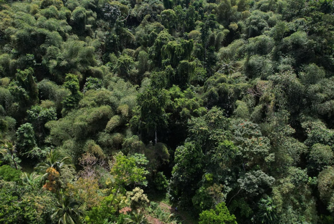 Seventeenth image of Boundbrook in Boundbrook, Portland, Jamaica - property is For Sale