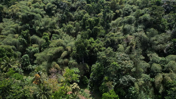 Seventeenth image of Boundbrook in Boundbrook, Portland, Jamaica - property is For Sale