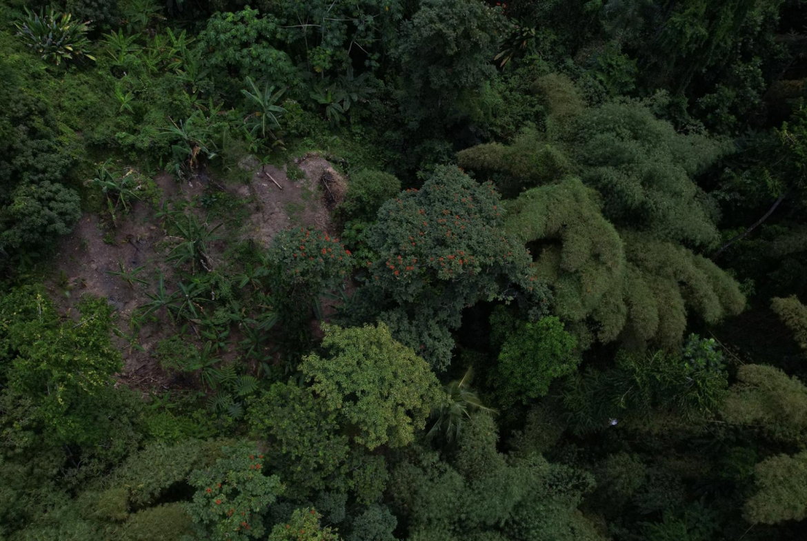 Twentieth image of Boundbrook in Boundbrook, Portland, Jamaica - property is For Sale