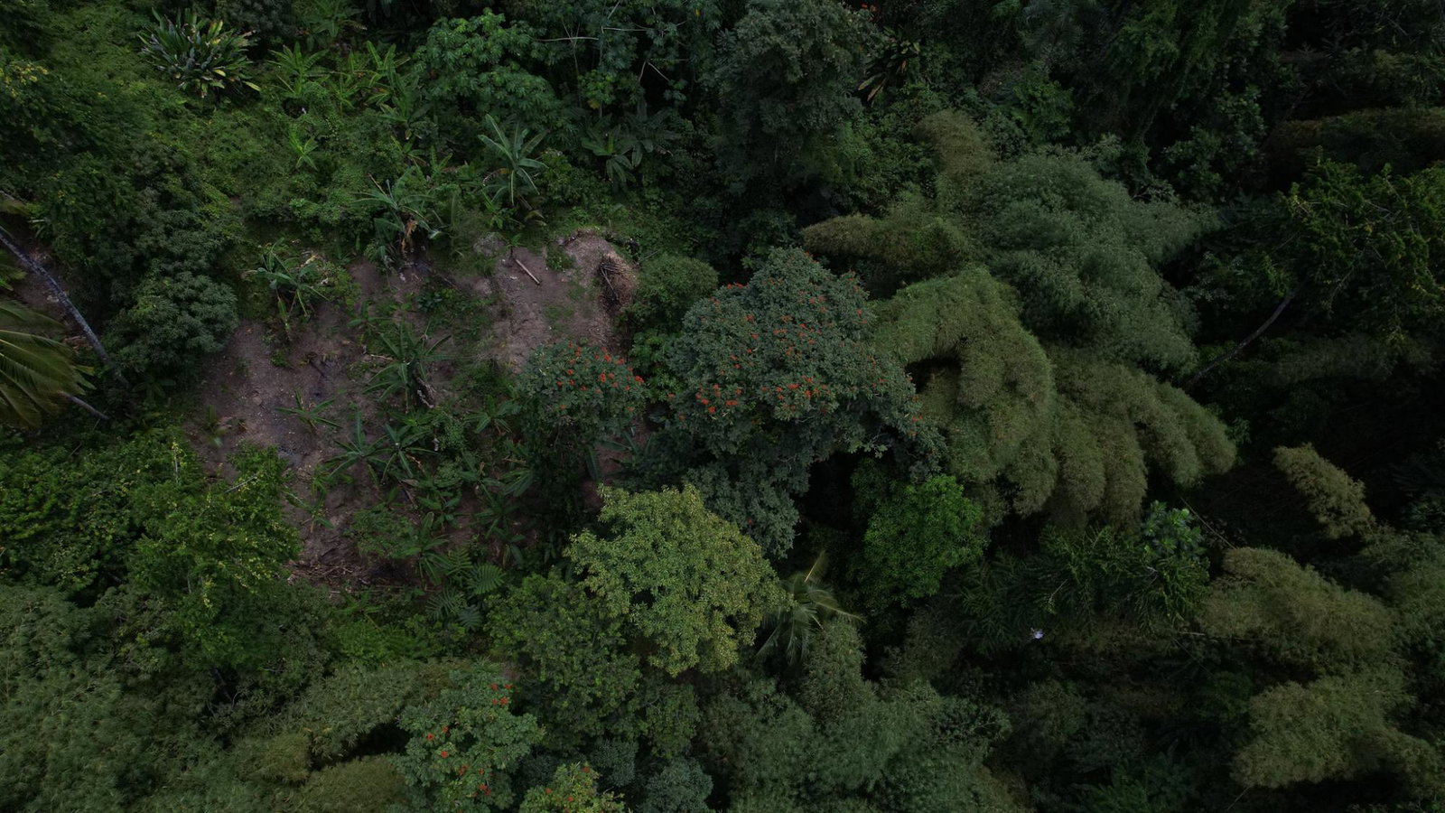 Twentieth image of Boundbrook in Boundbrook, Portland, Jamaica - property is For Sale