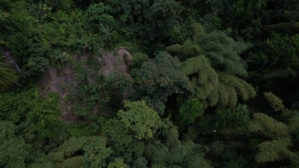 Twentieth image of Boundbrook in Boundbrook, Portland, Jamaica - property is For Sale