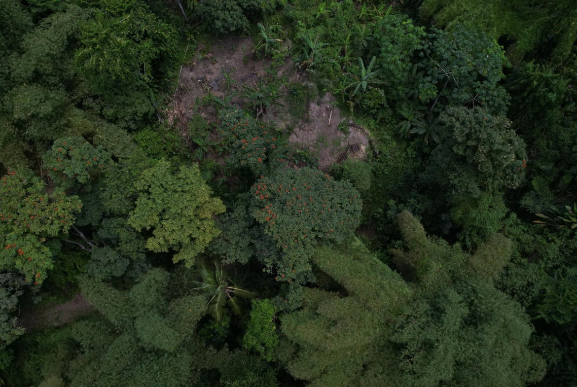 Twenty-First image of Boundbrook in Boundbrook, Portland, Jamaica - property is For Sale