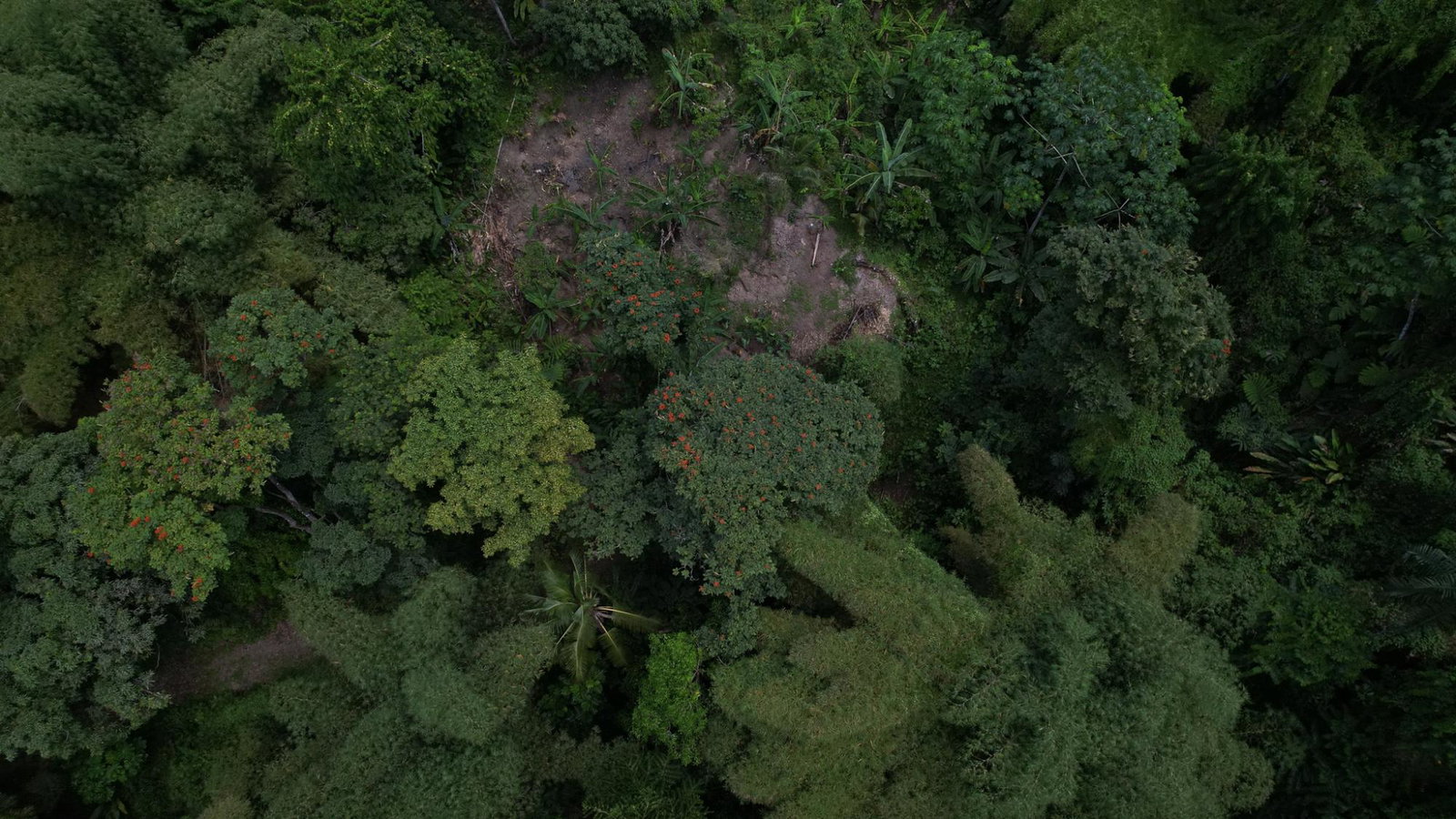 Twenty-First image of Boundbrook in Boundbrook, Portland, Jamaica - property is For Sale