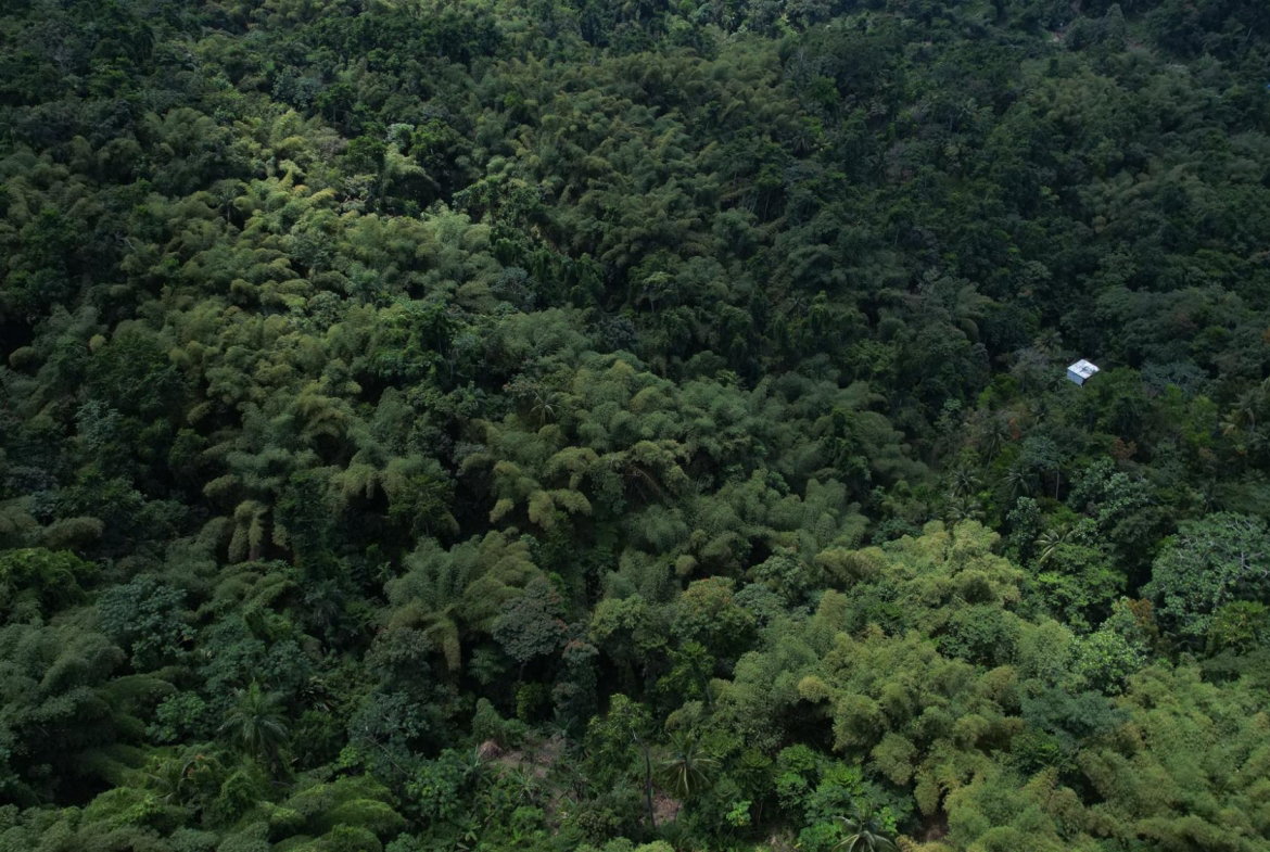 Twenty-Second image of Boundbrook in Boundbrook, Portland, Jamaica - property is For Sale