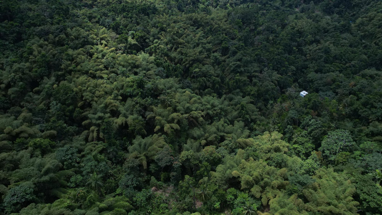 Twenty-Second image of Boundbrook in Boundbrook, Portland, Jamaica - property is For Sale