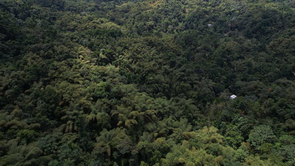 Twenty-Third image of Boundbrook in Boundbrook, Portland, Jamaica - property is For Sale