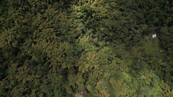 Twenty-Fifth image of Boundbrook in Boundbrook, Portland, Jamaica - property is For Sale