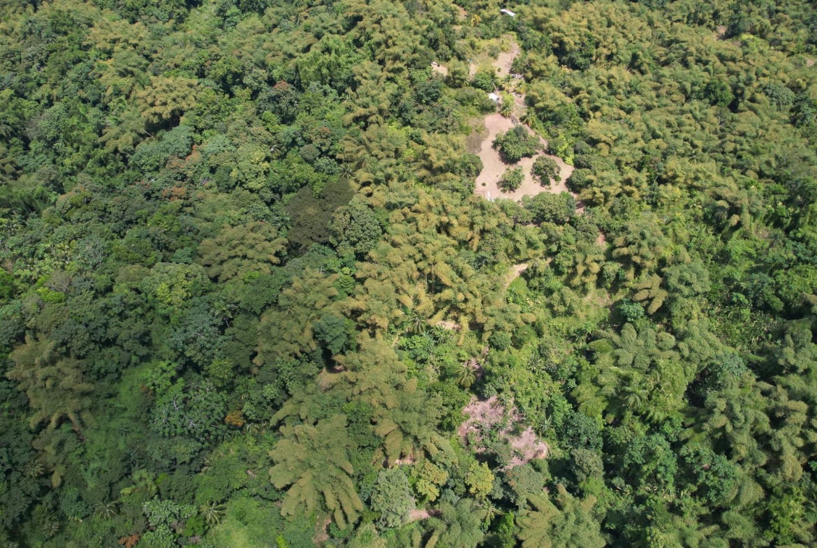 Twenty-Ninth image of Boundbrook in Boundbrook, Portland, Jamaica - property is For Sale