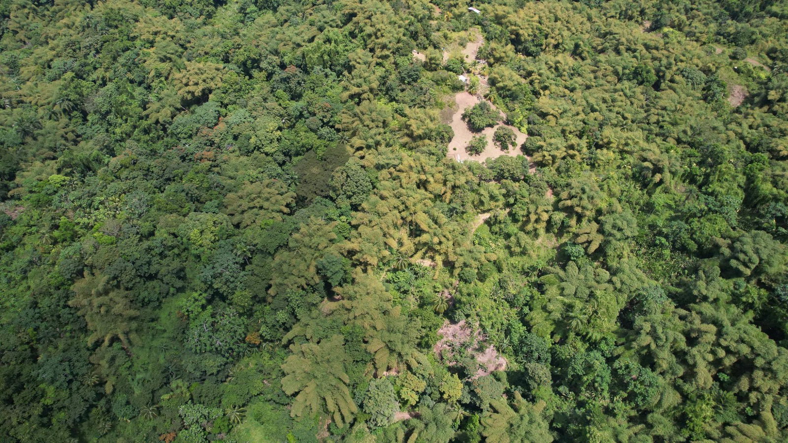 Twenty-Ninth image of Boundbrook in Boundbrook, Portland, Jamaica - property is For Sale