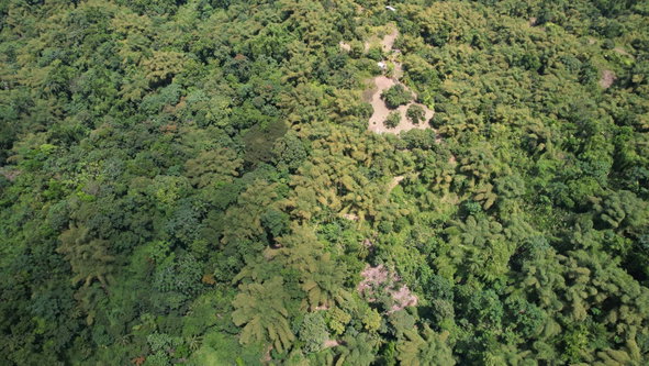 Twenty-Ninth image of Boundbrook in Boundbrook, Portland, Jamaica - property is For Sale