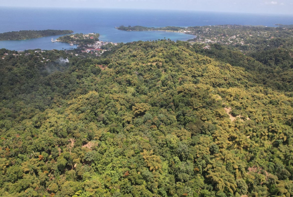 Fifth image of Boundbrook in Boundbrook, Portland, Jamaica - property is For Sale