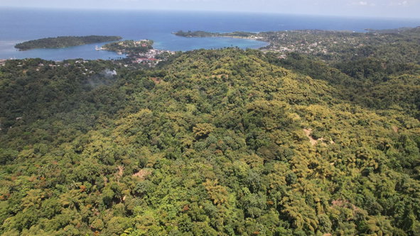 Fifth image of Boundbrook in Boundbrook, Portland, Jamaica - property is For Sale