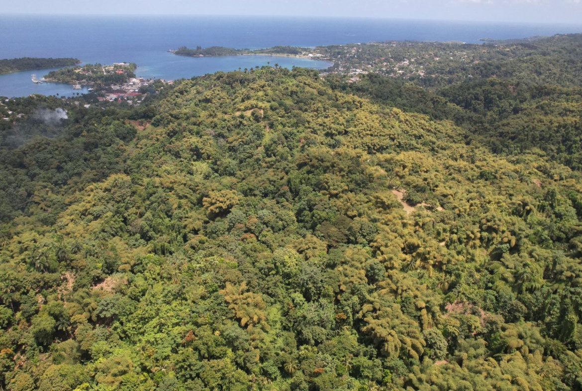 Sixth image of Boundbrook in Boundbrook, Portland, Jamaica - property is For Sale