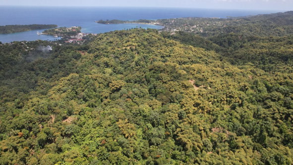 Sixth image of Boundbrook in Boundbrook, Portland, Jamaica - property is For Sale