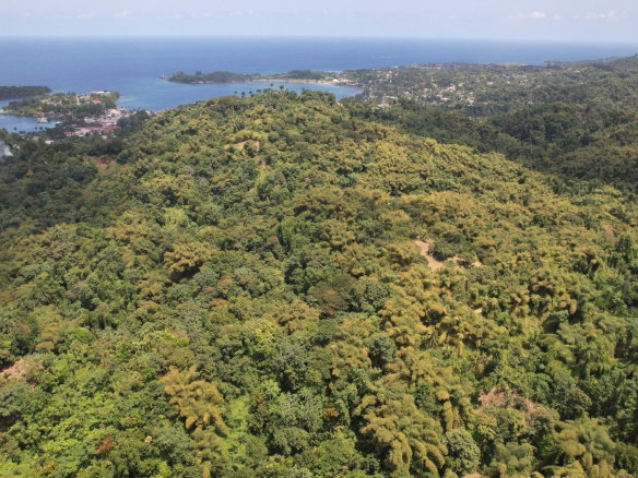 First image of Boundbrook in Boundbrook, Portland, Jamaica - property is For Sale