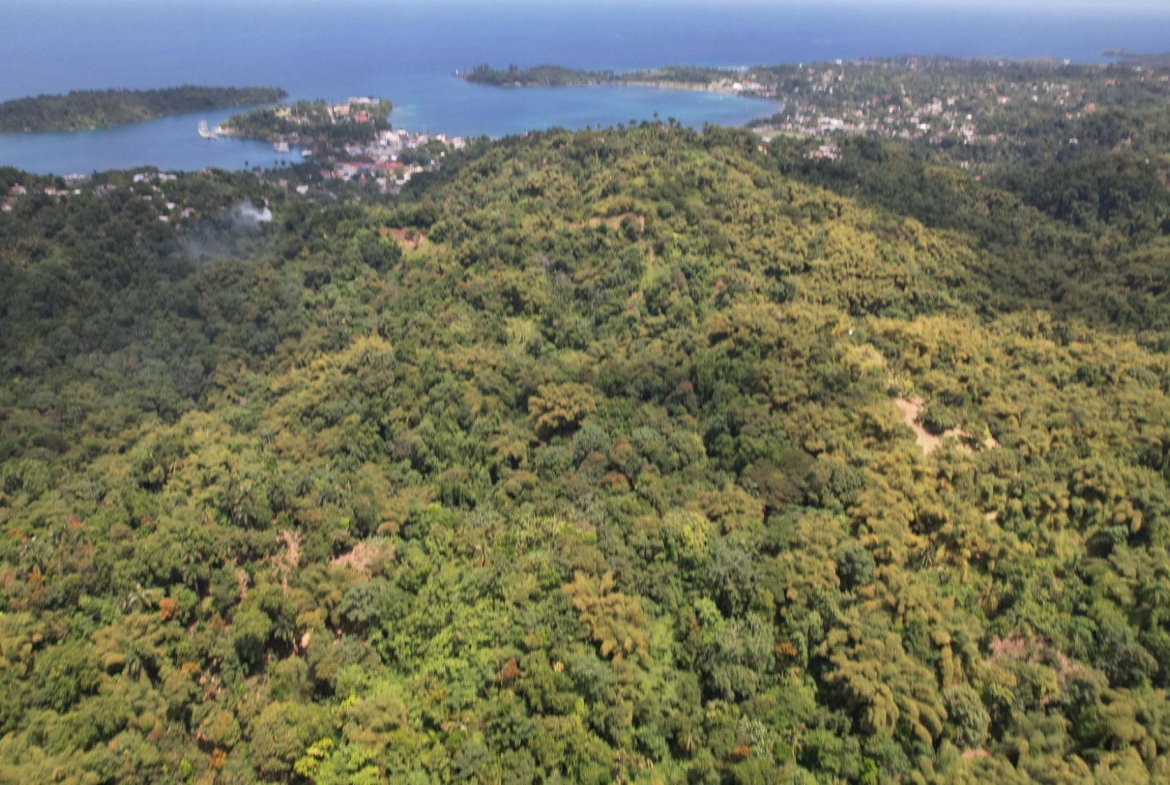 Seventh image of Boundbrook in Boundbrook, Portland, Jamaica - property is For Sale