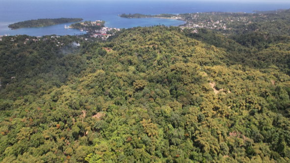 Seventh image of Boundbrook in Boundbrook, Portland, Jamaica - property is For Sale