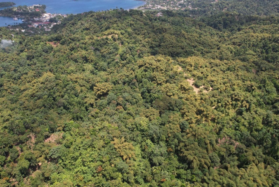 Eighth image of Boundbrook in Boundbrook, Portland, Jamaica - property is For Sale